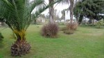 San Martin 5448